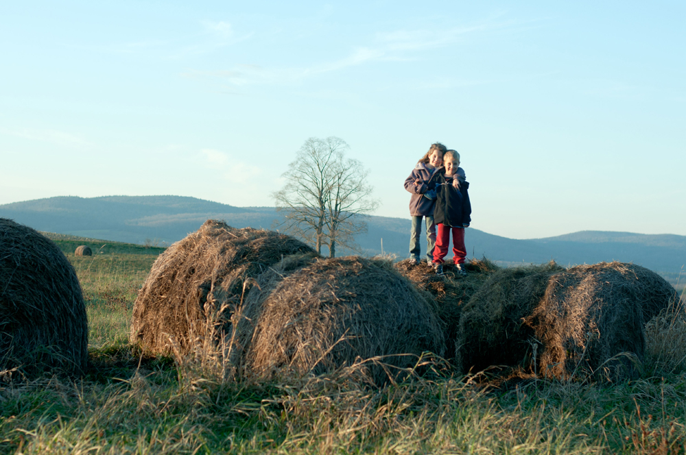 Jumping Haybales