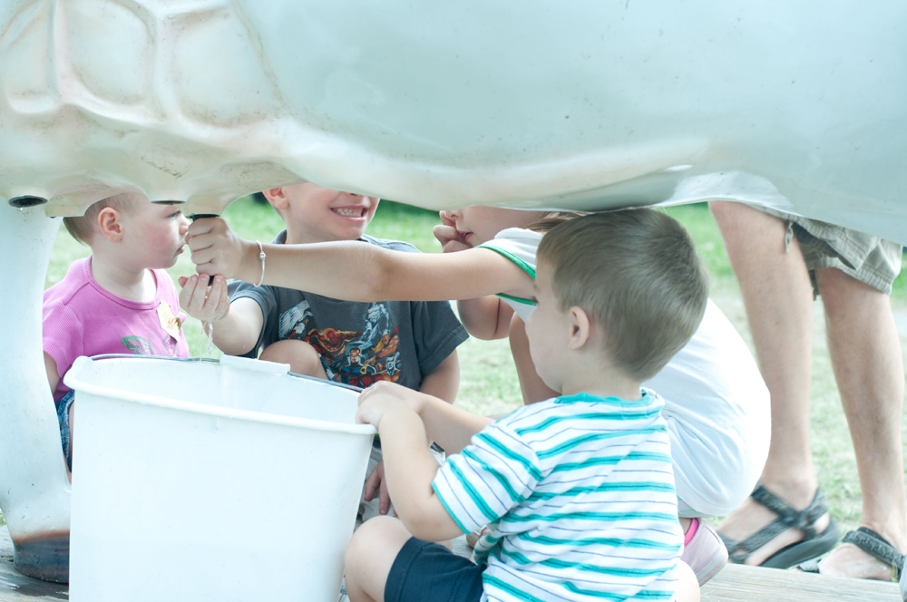 Columbia County Fair