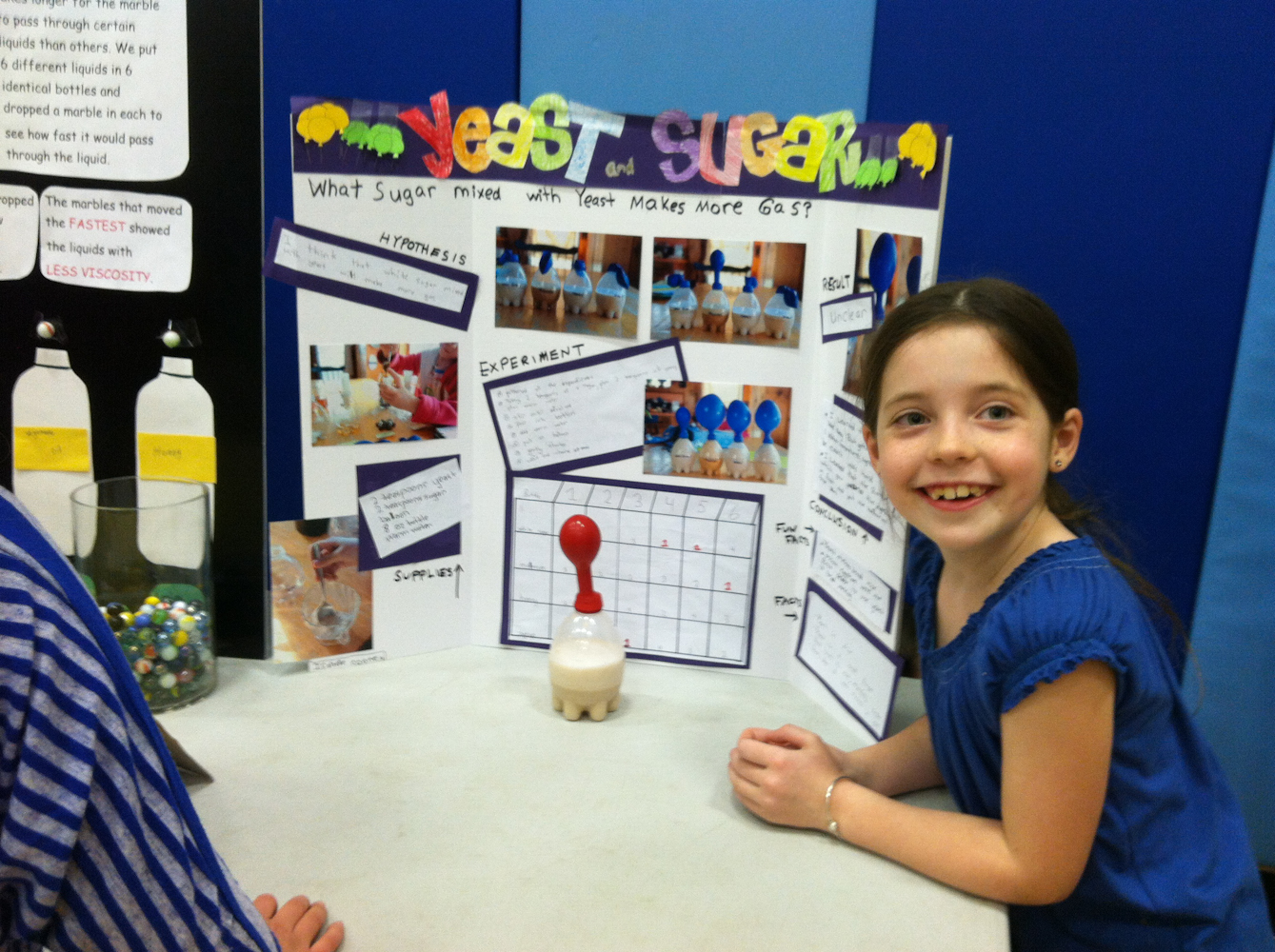 Morris School Science Fair